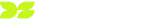 dataspring-logo